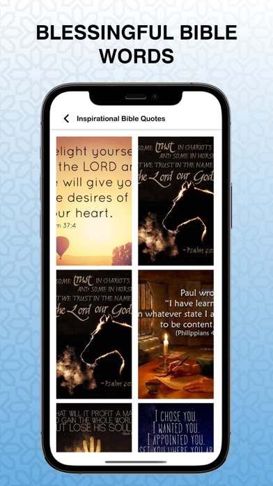 Alkitab: Indonesian Holy Bible Screenshot