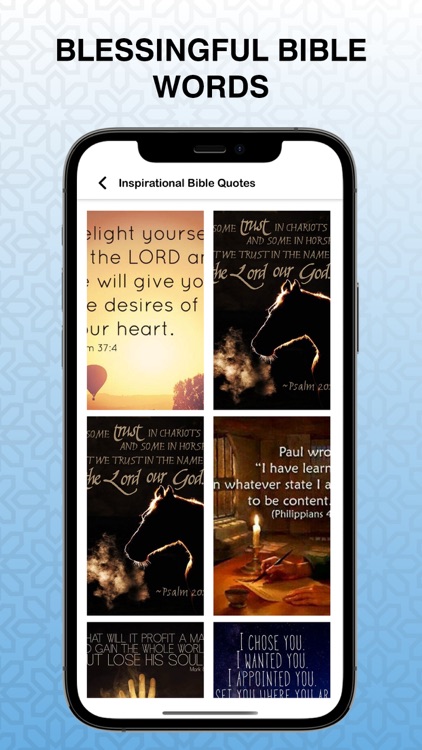 Alkitab: Indonesian Holy Bible screenshot-5