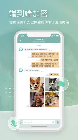 Game screenshot Ace-Chat hack
