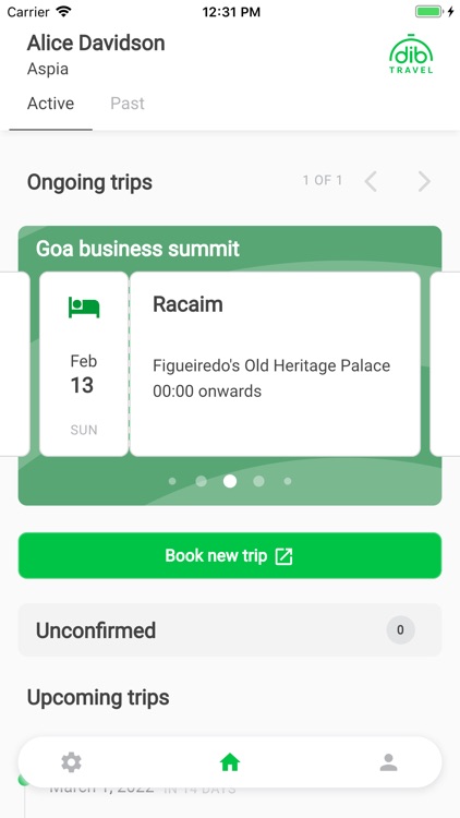 DIB Travel