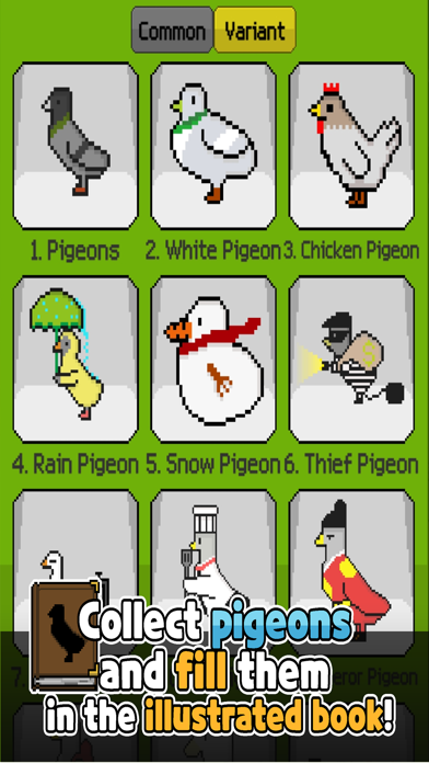 raising pigeons Screenshot