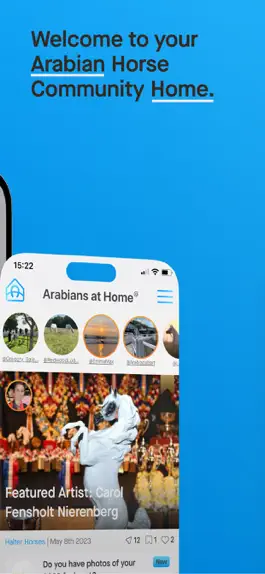Game screenshot Arabians at Home apk