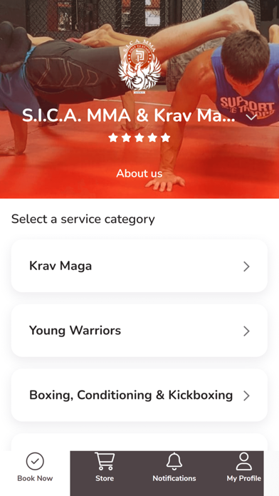 S.I.C.A. MMA Screenshot