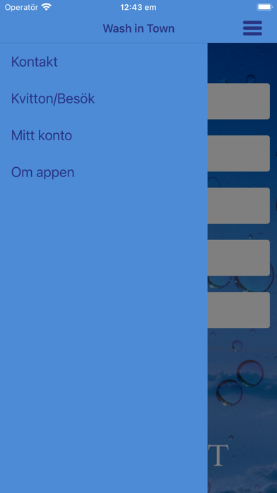 Wash in Town Screenshot