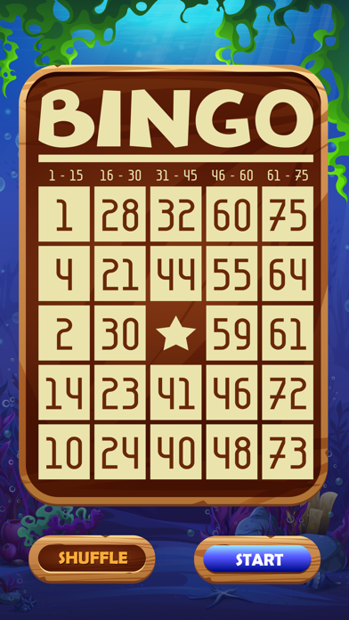 Bingo - Numeric Board Game Screenshot