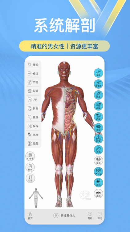 维萨里3D解剖-学生学习老师教学医生资源人体医学图谱大全