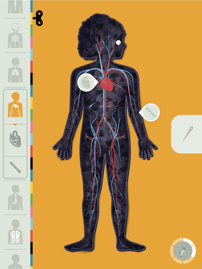 The Human Body by Tinybop on the App Store