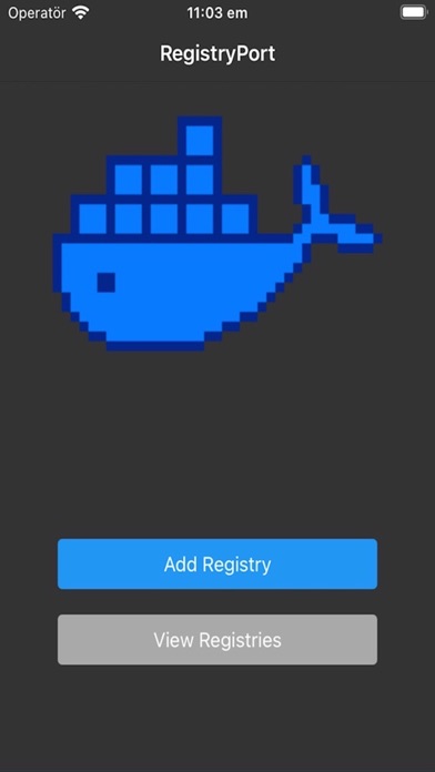 registryport Screenshot