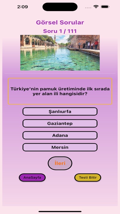Soru Oyunları Screenshot
