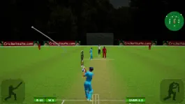 Game screenshot cricket batsman mod apk