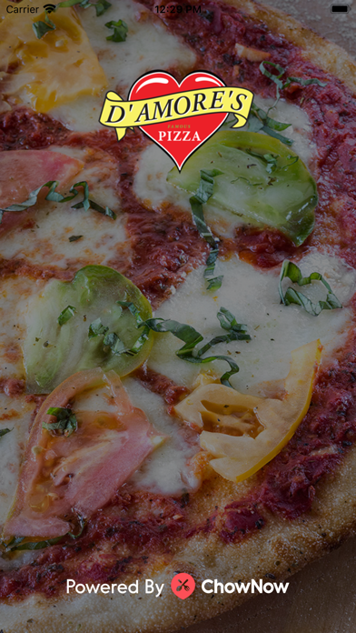 D'Amore's Famous Pizza Screenshot