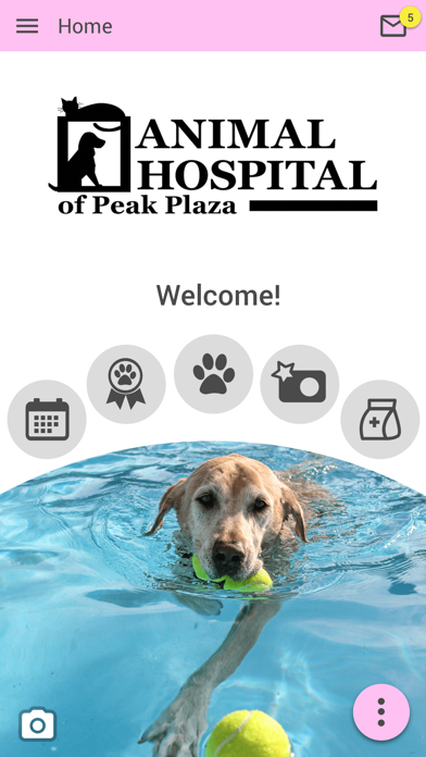 Animal Hospital of Peak Plaza Screenshot