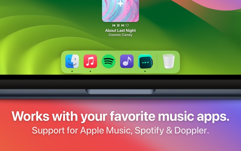 Sleeve for Spotify, Music Screenshot