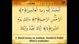 mobile quran hatim problems & solutions and troubleshooting guide - 4