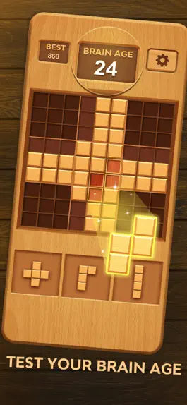 Game screenshot Wood Block Puz- Classic Jigsaw mod apk