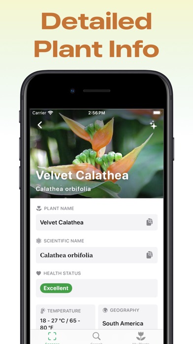 Flower Identifier & Finder Screenshot