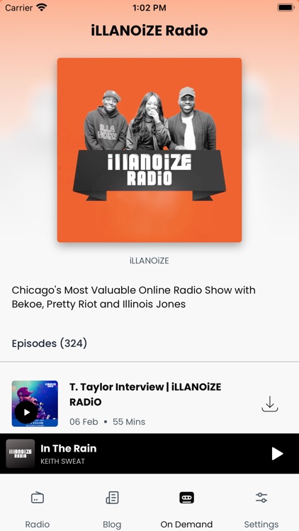 iLLANOiZE Radio screenshot-3