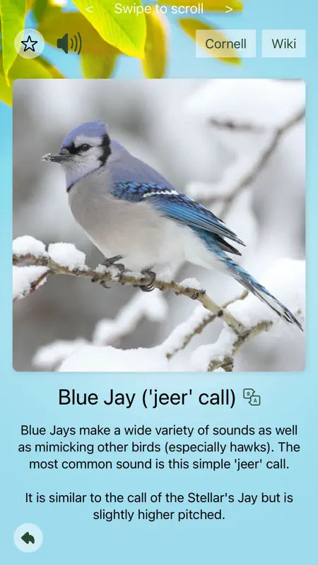 Chirp! Bird Songs Canada screenshot 1 of 10