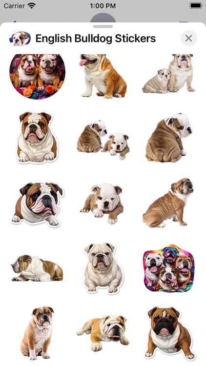 English Bulldog Stickers screenshot-3