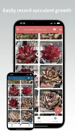 Game screenshot TANIPATO-Succulent Photo&Diary mod apk