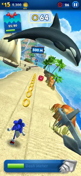 Game screenshot Sonic Dash+ apk