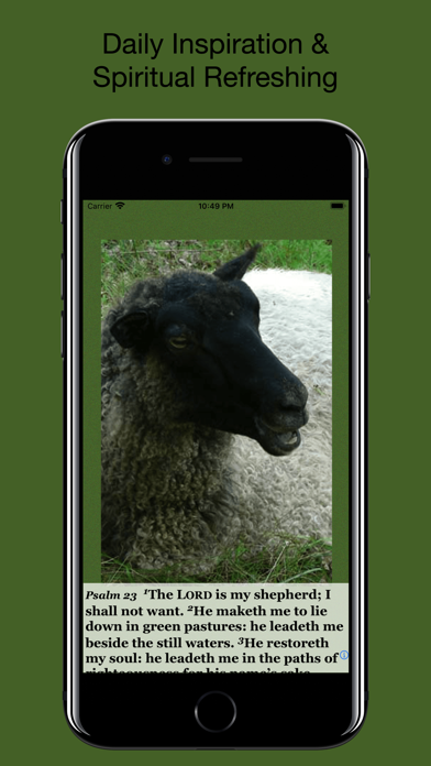 Psalm Daily Quotes KJV Screenshot