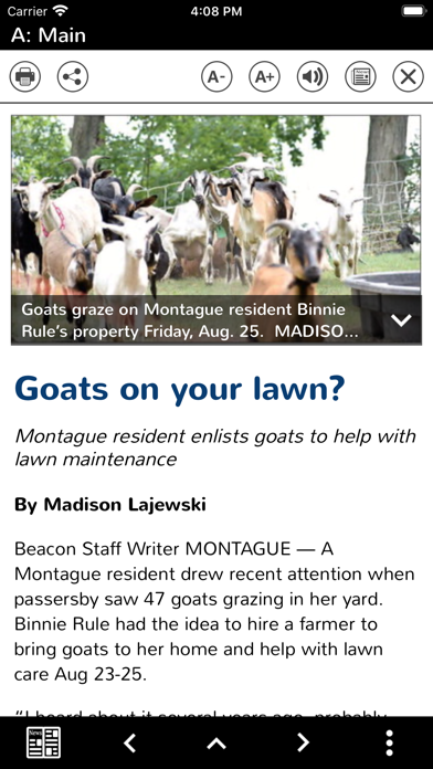 White Lake Beacon eEdition Screenshot