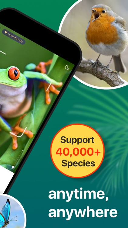 Picture Nature: Animal ID