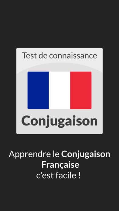French Conjugation Test Screenshot