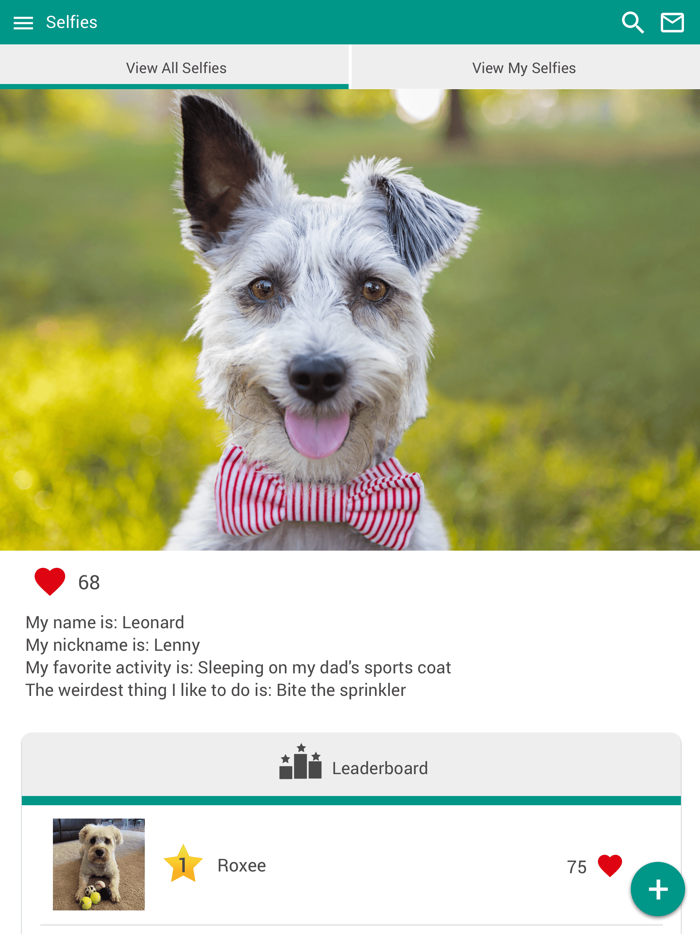 Oak Ridge Animal Clinic