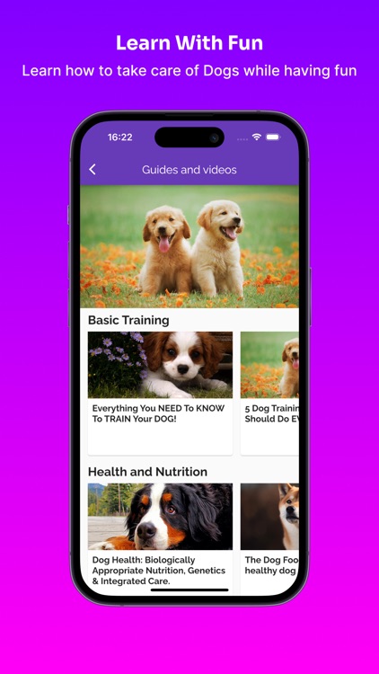 Dog Care Guide: Pup Tips & Fun