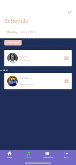 Game screenshot OpenAir St.Gallen apk