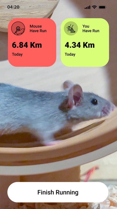 Squeeker Screenshot