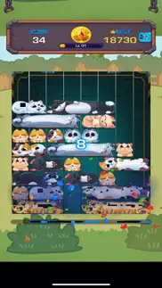 How to cancel & delete cat sort jewel puzzle 4