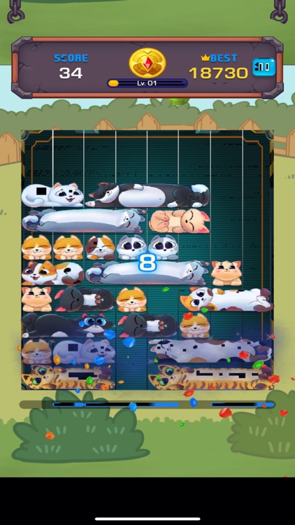 Cat Sort Jewel Puzzle screenshot-4