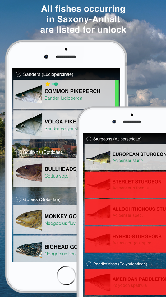 #2. Fishguide Saxony-Anhalt (iOS) By: Robin Schaefer
