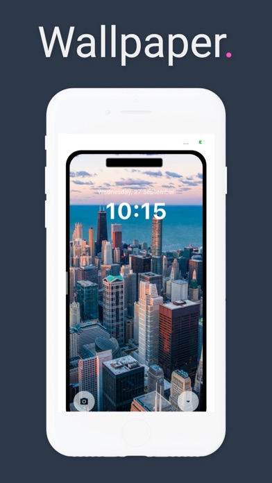 SavePin: Pinterest Video Saver Screenshot
