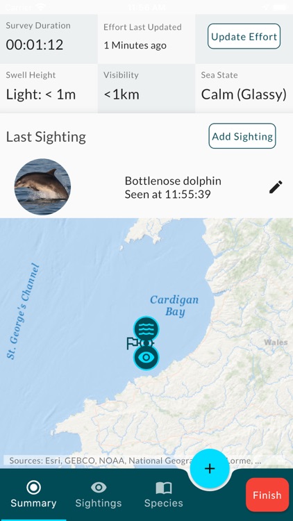 Sea Watcher screenshot-8