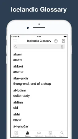 Game screenshot Combined Icelandic Dictionary hack