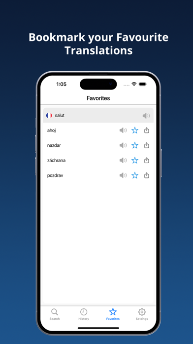 French Czech Dictionary + Screenshot