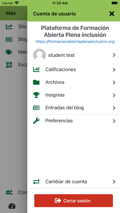 Formación Plena inclusión Screenshot
