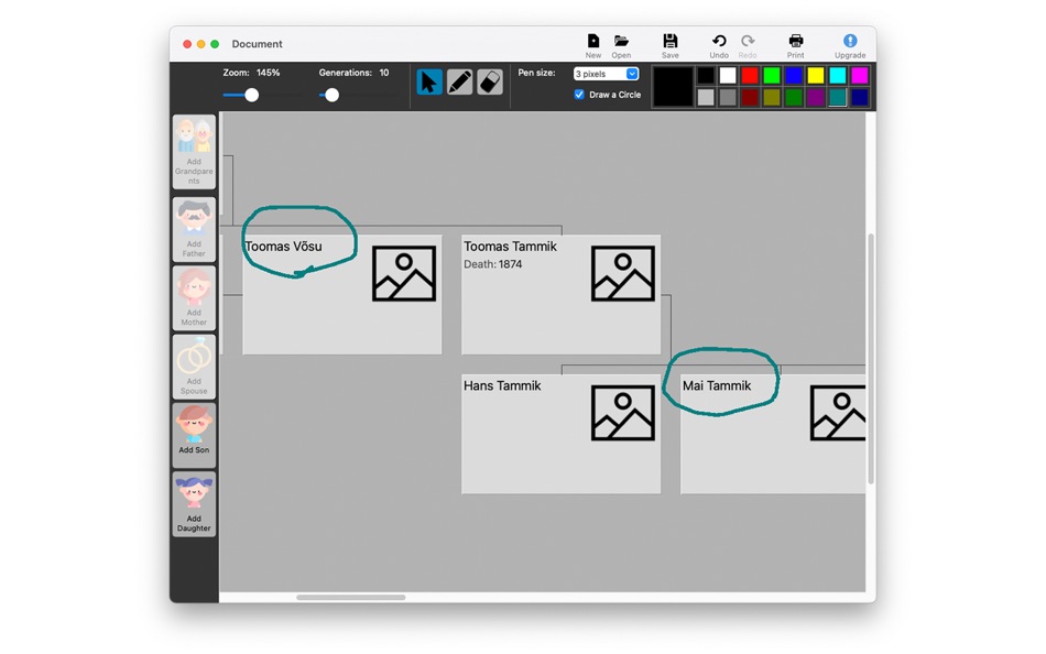 #3. Family Tree Painter (macOS) بواسطة: Janek Soomets