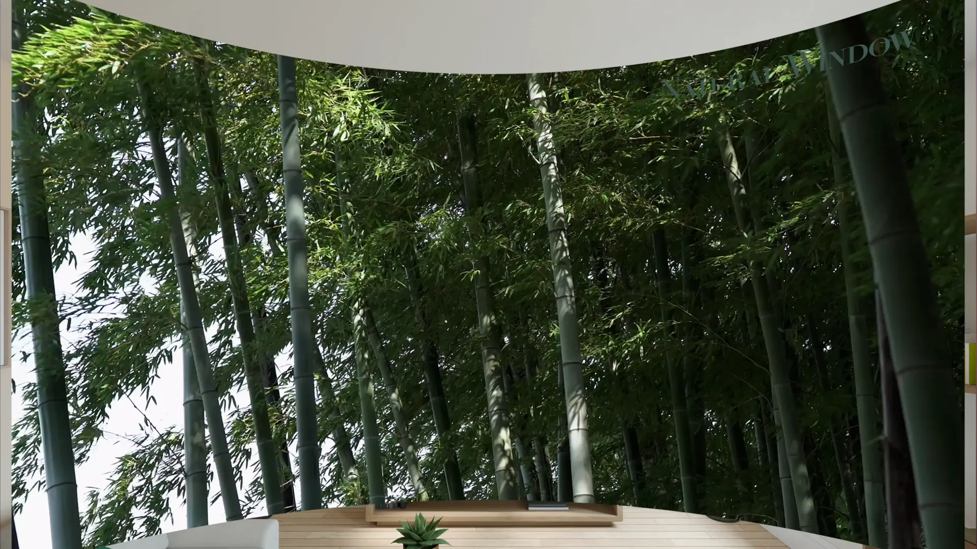 Natural Window screenshot 3