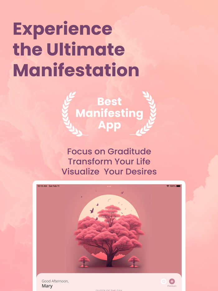 Law of Attraction - Manolis