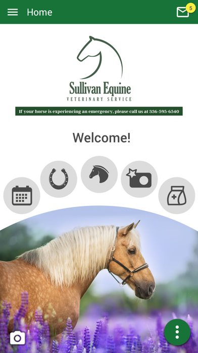 Sullivan Equine Vet Services Screenshot
