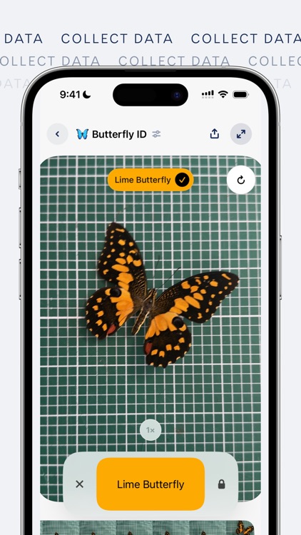 FieldDay · Real-World AI