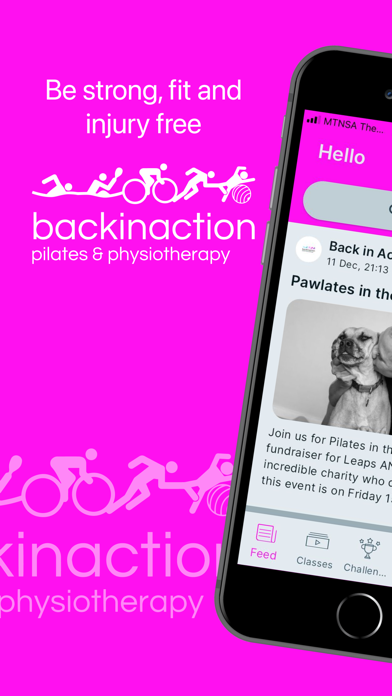 Back in Action Pilates & Rehab Screenshot