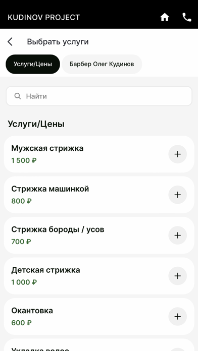Kudinov Project Screenshot