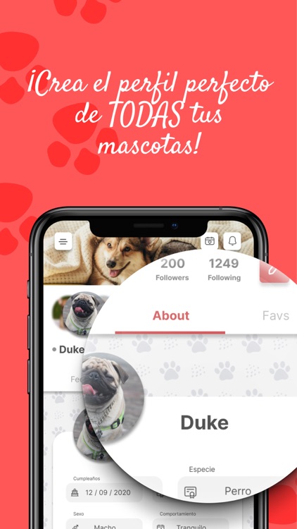 The Pack screenshot-4