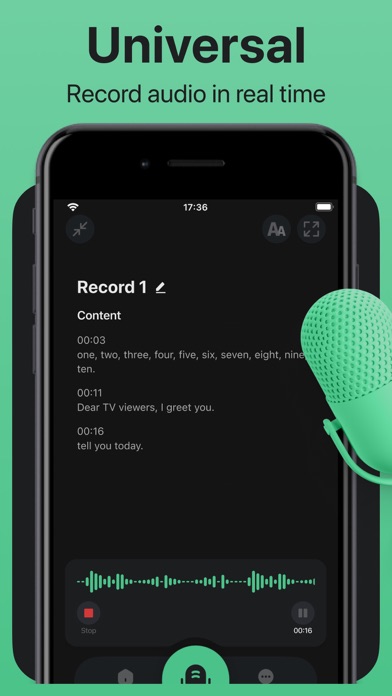 Voice & Audio Transcription Screenshot